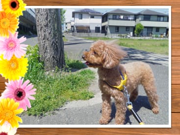 少しでも風を感じてもらえるように…