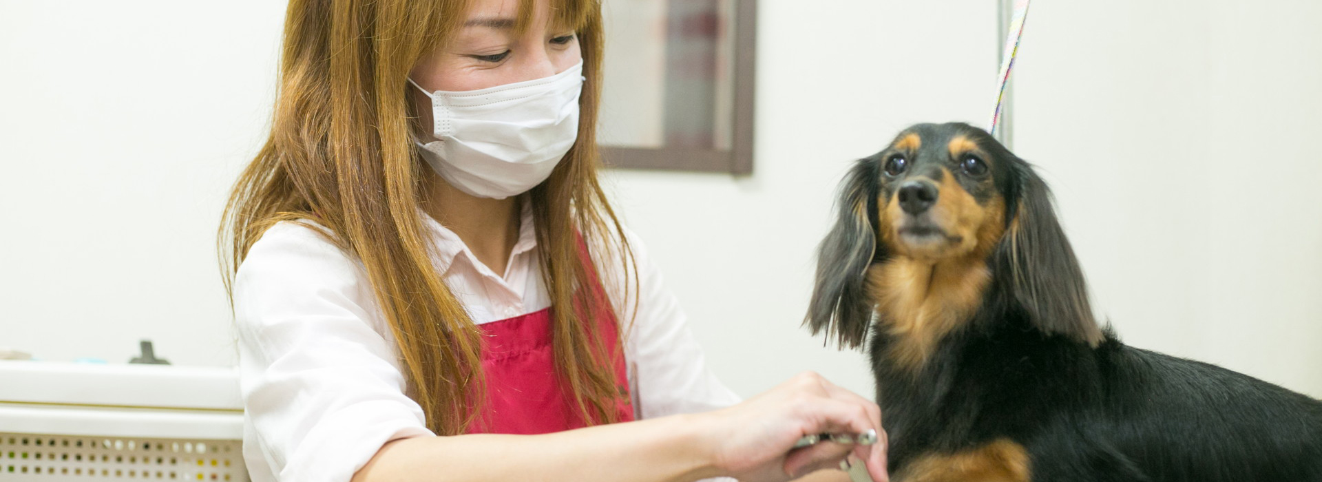 Dog Salon なごみ